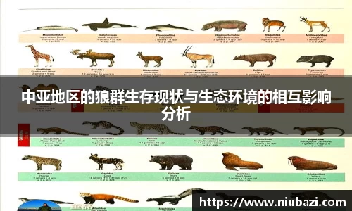 中亚地区的狼群生存现状与生态环境的相互影响分析